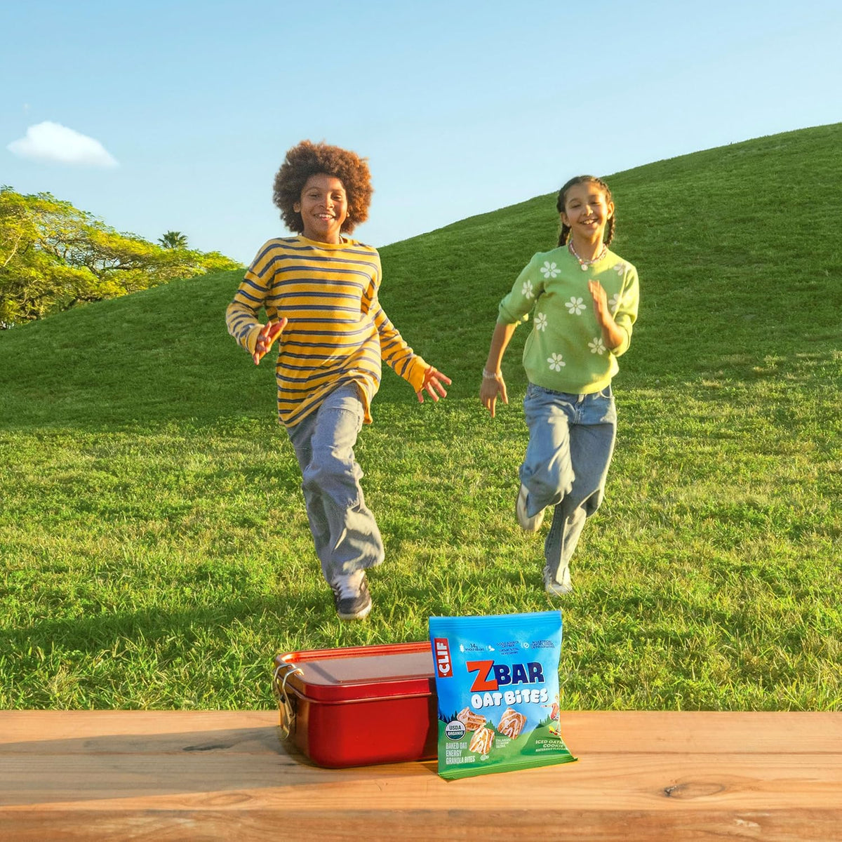 Zbar Oat Bites - Iced Oatmeal Cookie - Clean-Ingredient After-School Snack for Active Kids - 14g Whole Grains Per Pack